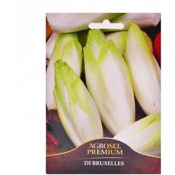 Seminte Andive di Bruxelles premium Agrosel