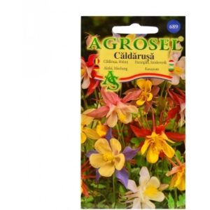 Seminte flori Caldarusa Agrosel