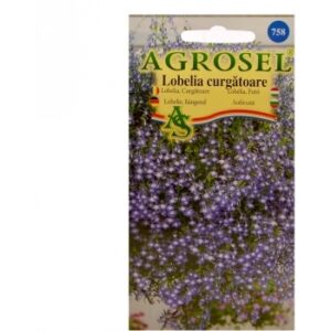 Seminte flori Lobelia curgatoare Agrosel